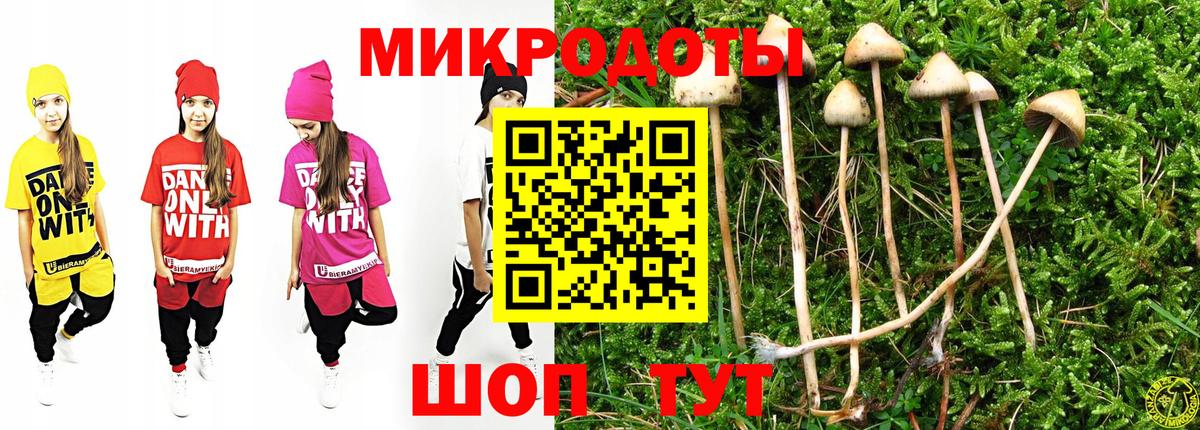 Псилоцибиновые грибы GOLDEN TEACHER  Псилоцибиновые грибы мухоморы  Тавда  Вход с VPN 